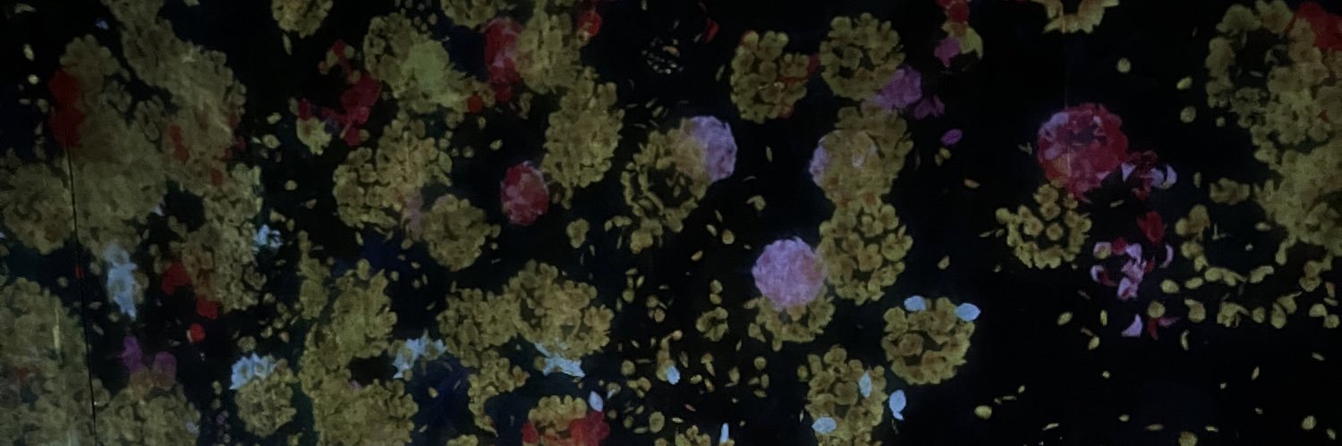 anapilargmz's profile banner image