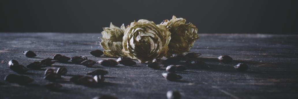 craft_beards's profile banner image