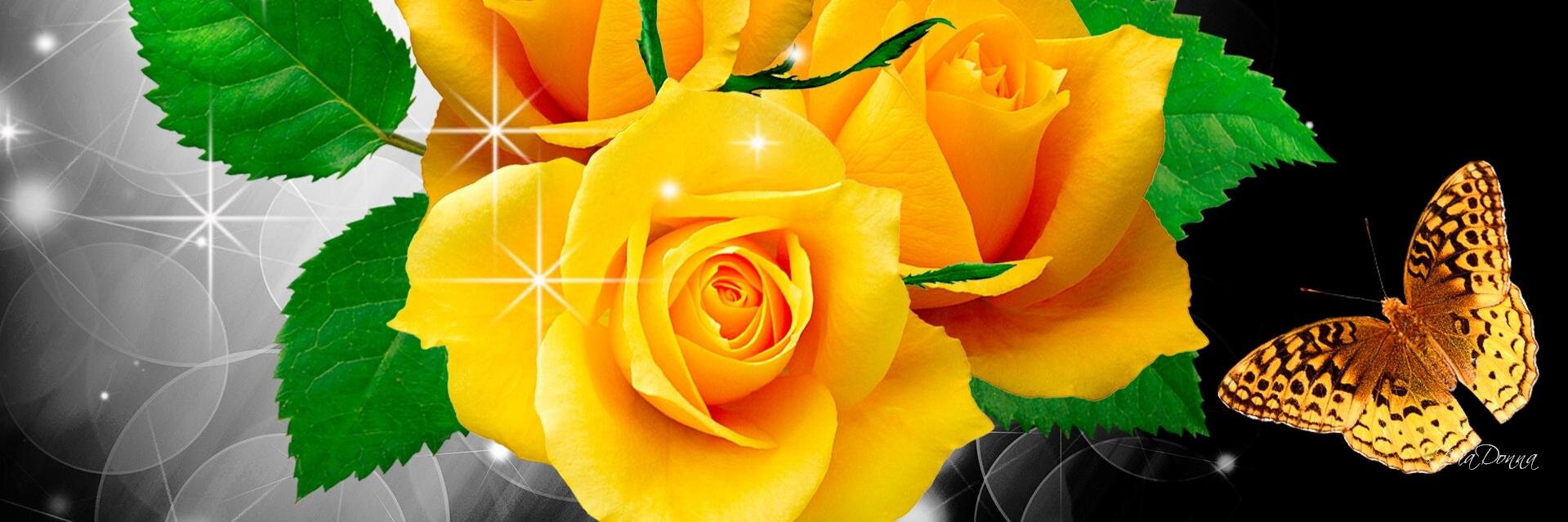 SharonEarleEdwa's profile banner image