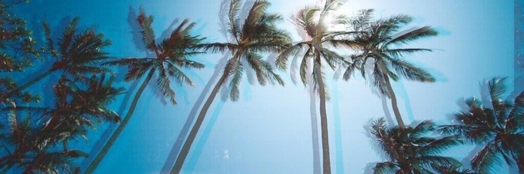 fxckidgaf's profile banner image