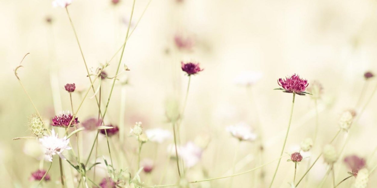 Ve_neza's profile banner image