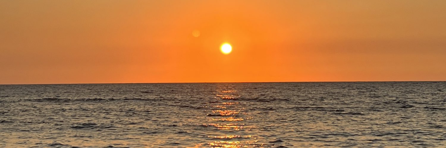 ayalei_'s profile banner image