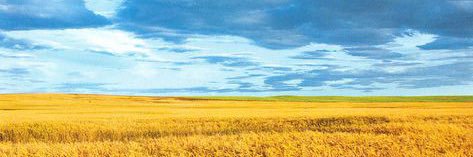JustinFlag's profile banner image