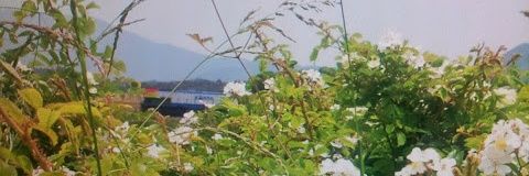 kcjin_'s profile banner image