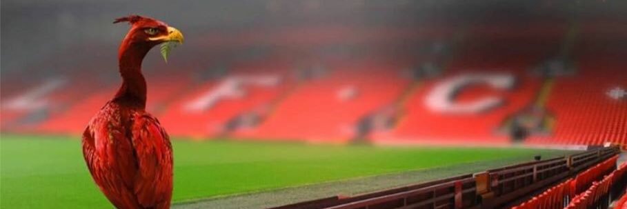 ManGerrard's profile banner image