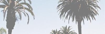 MeKbio's profile banner image