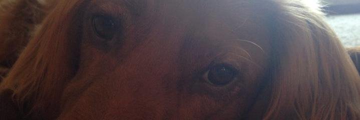 FinniganSmith's profile banner image