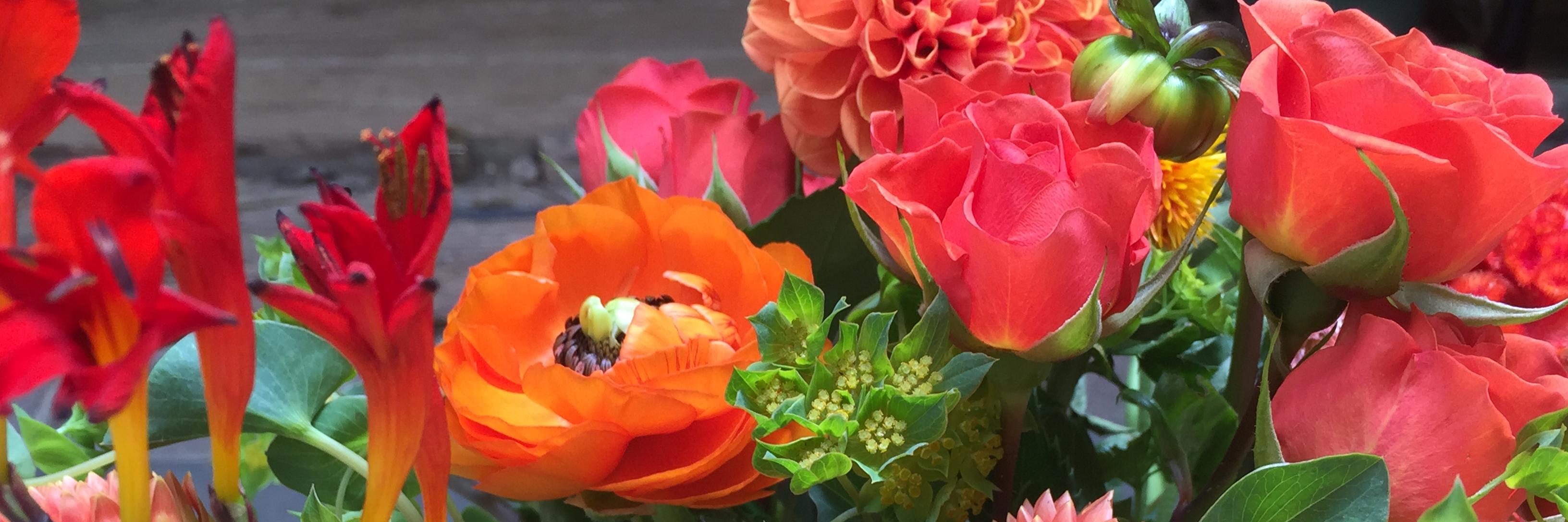 sneedsnursery's profile banner image