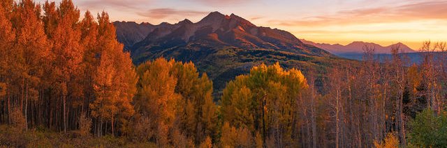 Craig McConnel banner