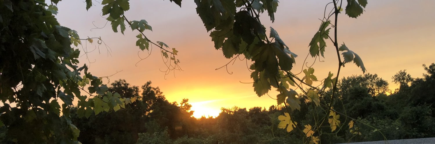 HaliaRoth's profile banner image