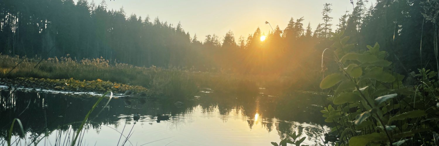 hailey_rochelle's profile banner image