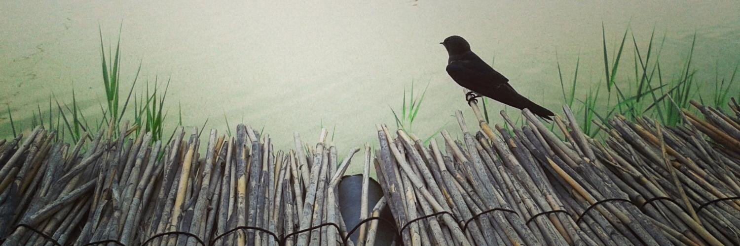 Llanos Cuenca banner