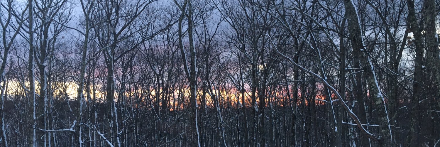 JPo313's profile banner image