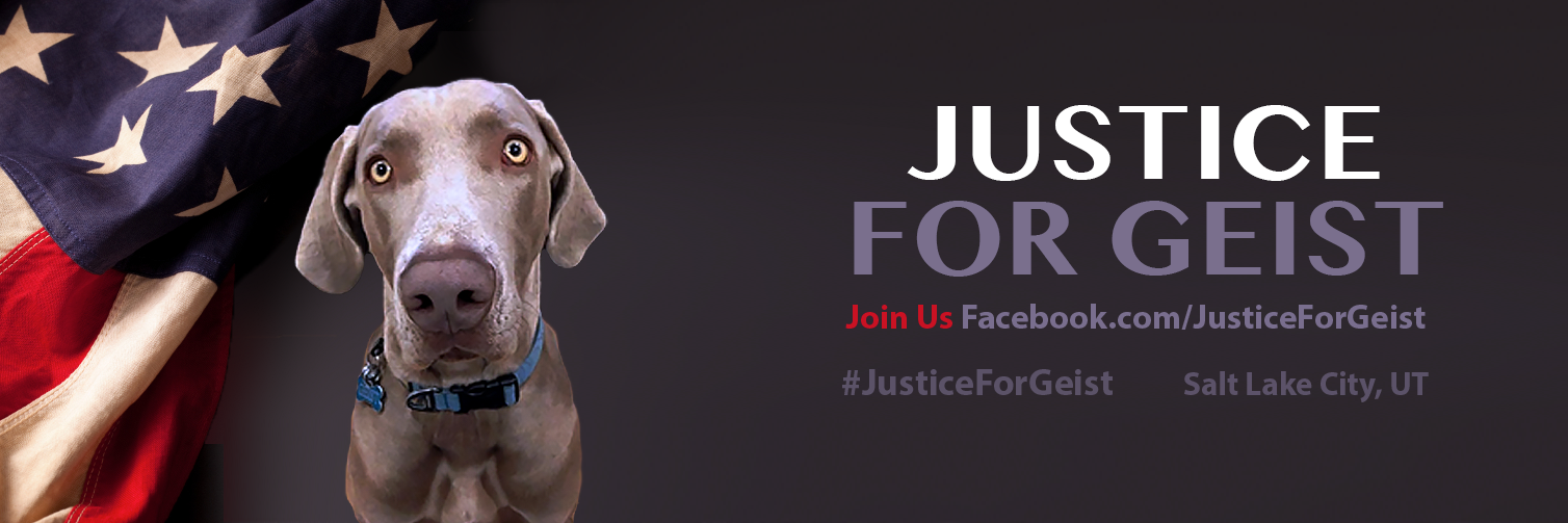 JusticeForGeist's profile banner image