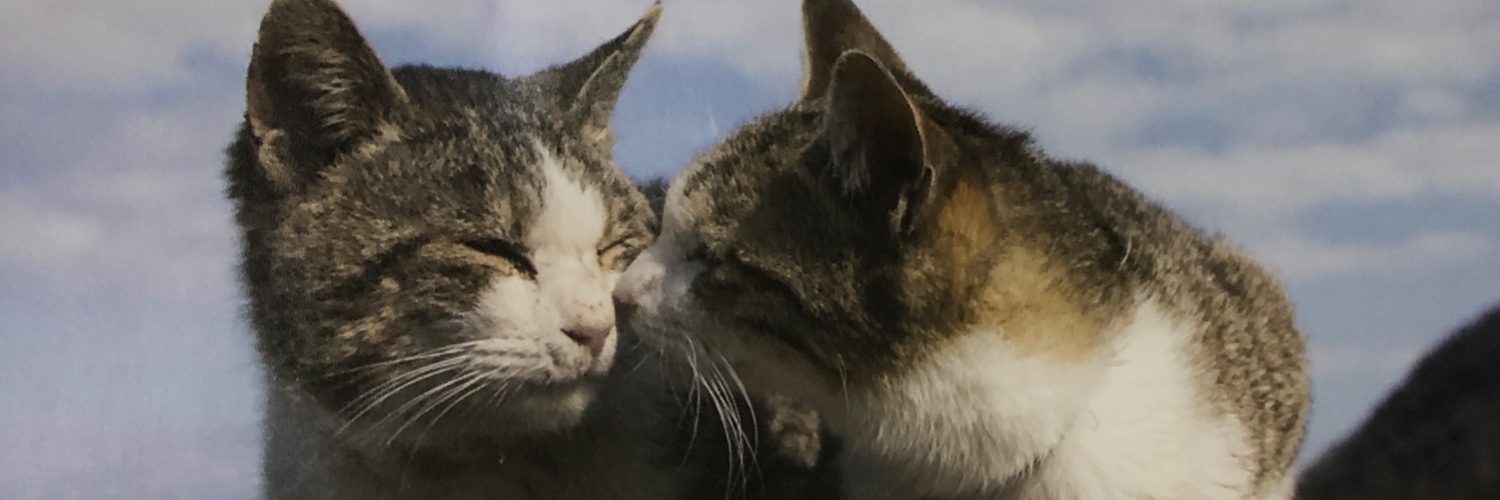7_trial's profile banner image