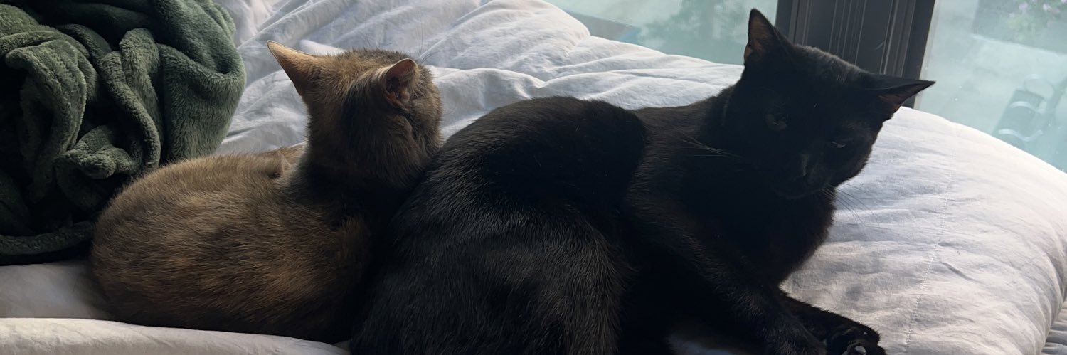 DDXDD_1's profile banner image