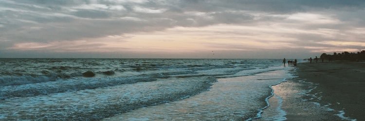 alyssa_wolff's profile banner image
