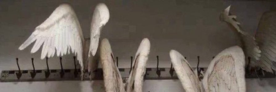 tia 的个人资料封面