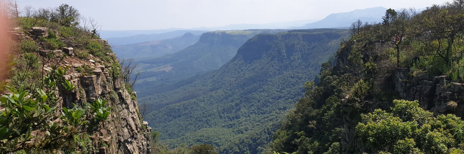 Papaju🇿🇦 banner