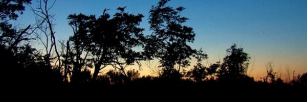 riggo44 Profile Banner