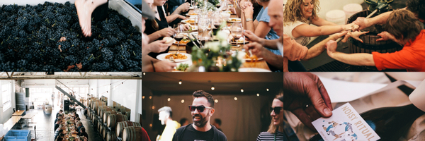 NoisyRitual Profile Banner