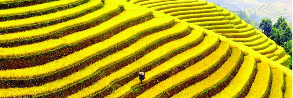 tuannm3041's profile banner image
