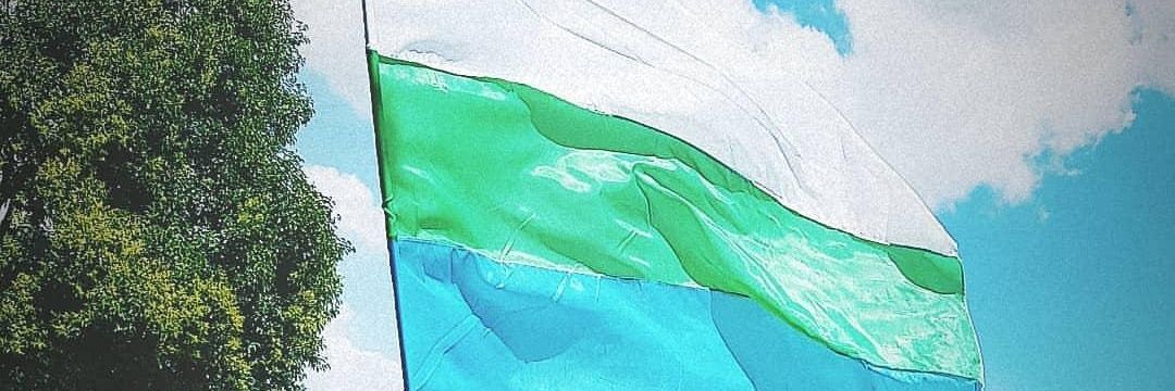 capillaracing's profile banner image
