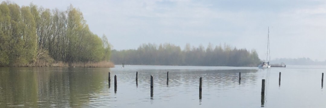 MarionWesterink's profile banner image