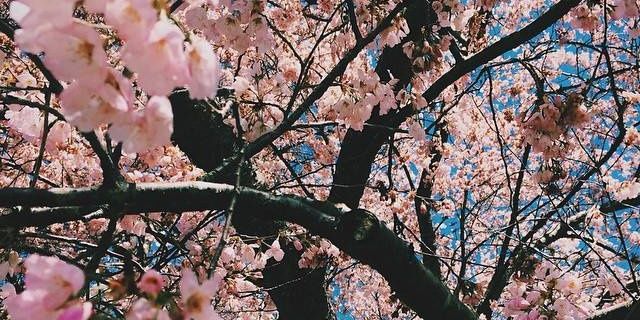 izzati_shah's profile banner image