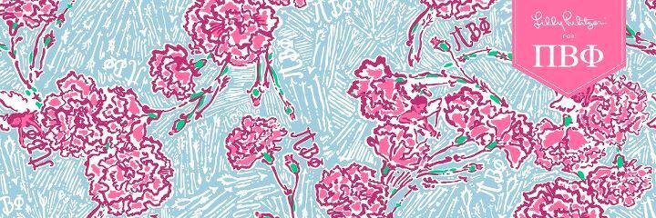 LDCGianna's profile banner image
