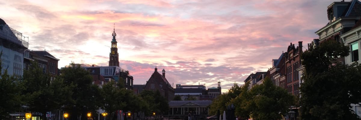 El ciutadà Martín banner