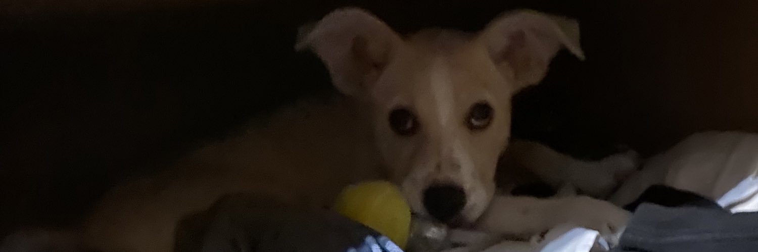 Andrew DaBella banner