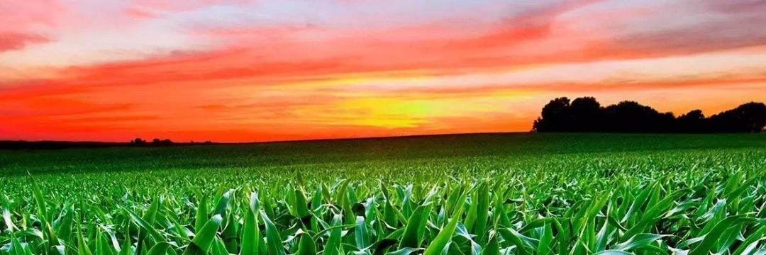 Sandeepchaudhr6's profile banner image