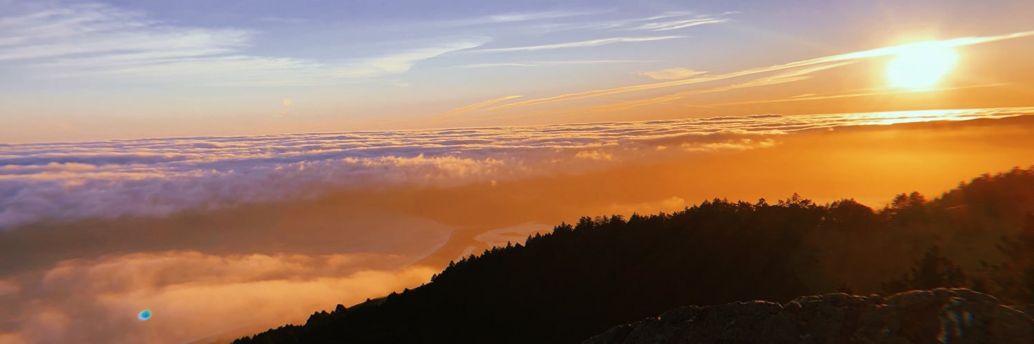 parrisamoore's profile banner image