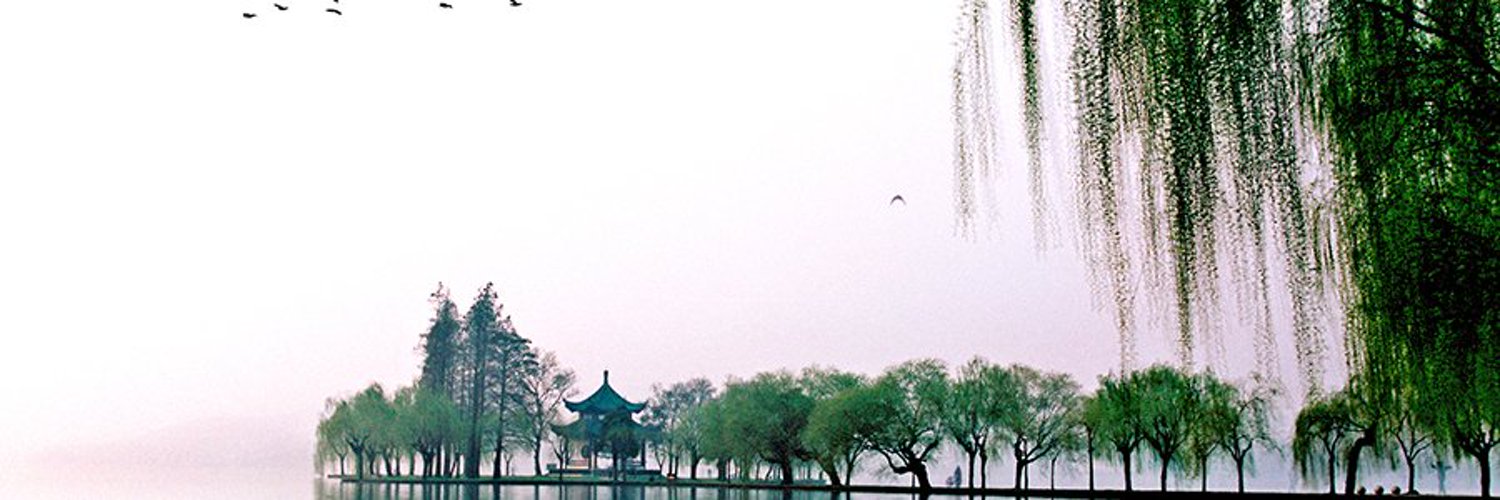 NollaigPeters's profile banner image
