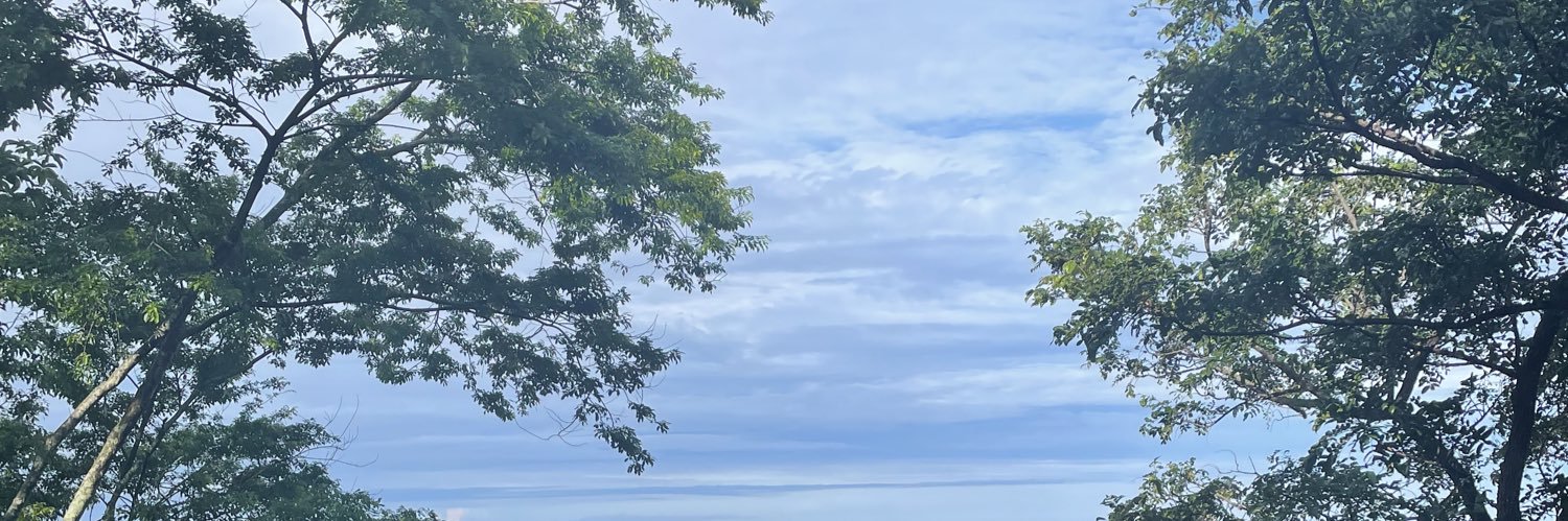 dausays's profile banner image