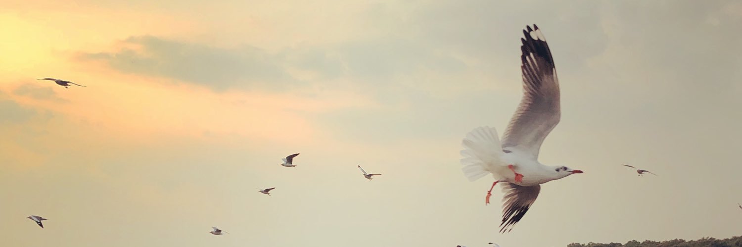 Den_Punja's profile banner image