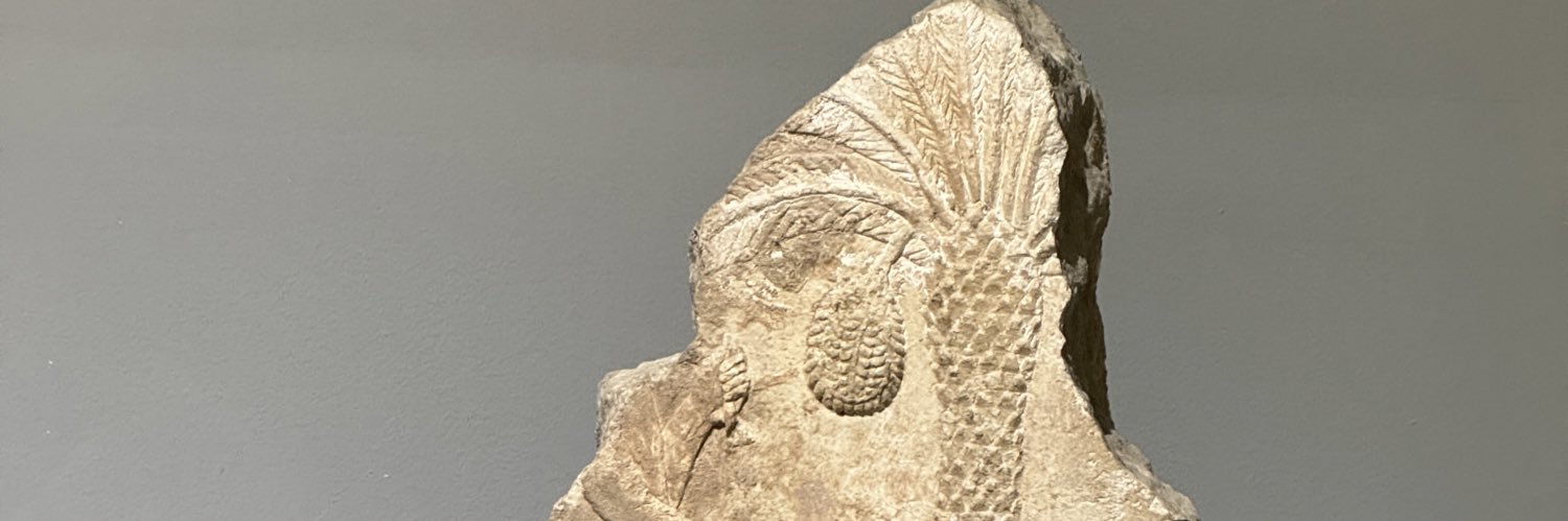 alsumari_ banner