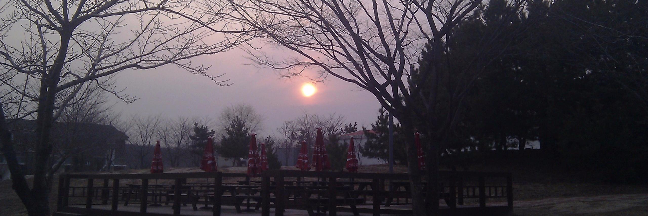 Beka Melkamu Tesgera banner