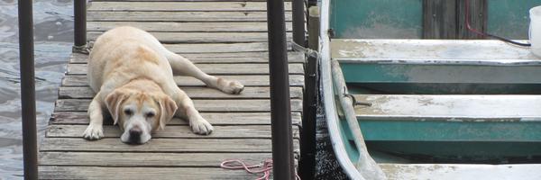 justdunnit Profile Banner