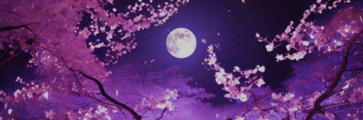 春田優介 banner