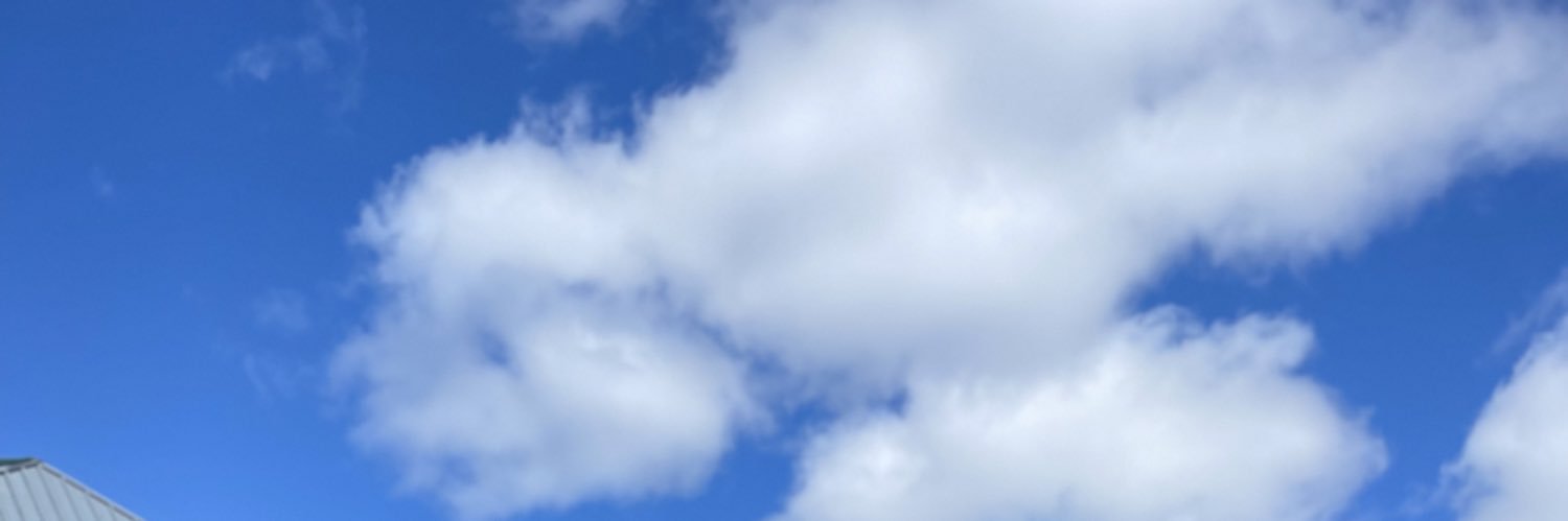 BrandonTyLising's profile banner image