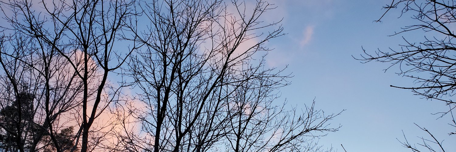 TheNackman's profile banner image