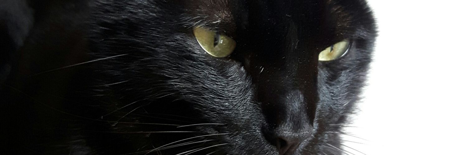 Mafevillegash's profile banner image