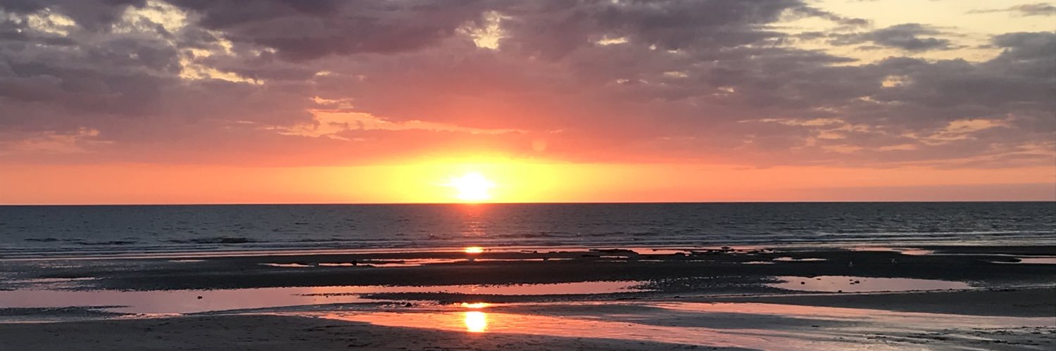 Suewatts71's profile banner image