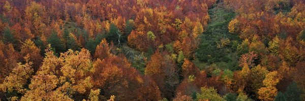 sierralademanda Profile Banner