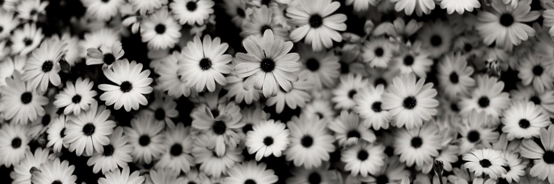 Lizz_c13's profile banner image