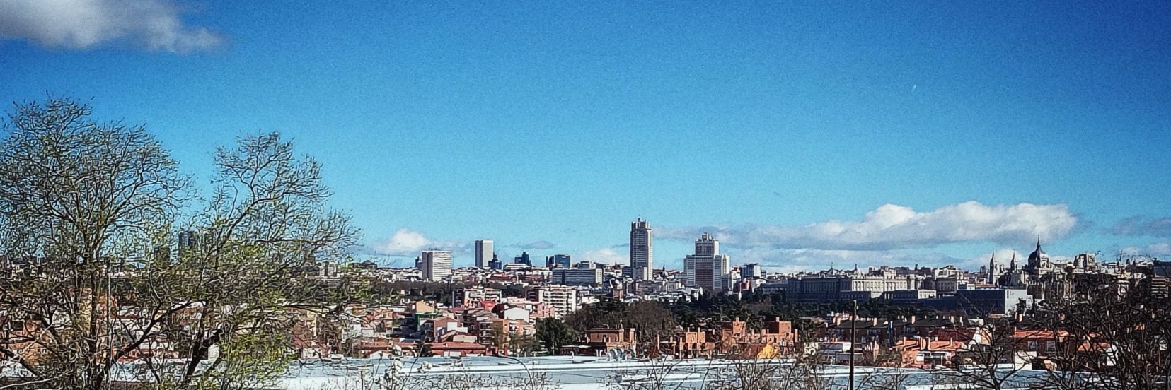 Michael Neudecker banner