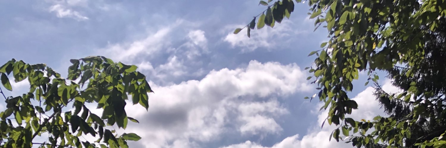 ahafcat's profile banner image