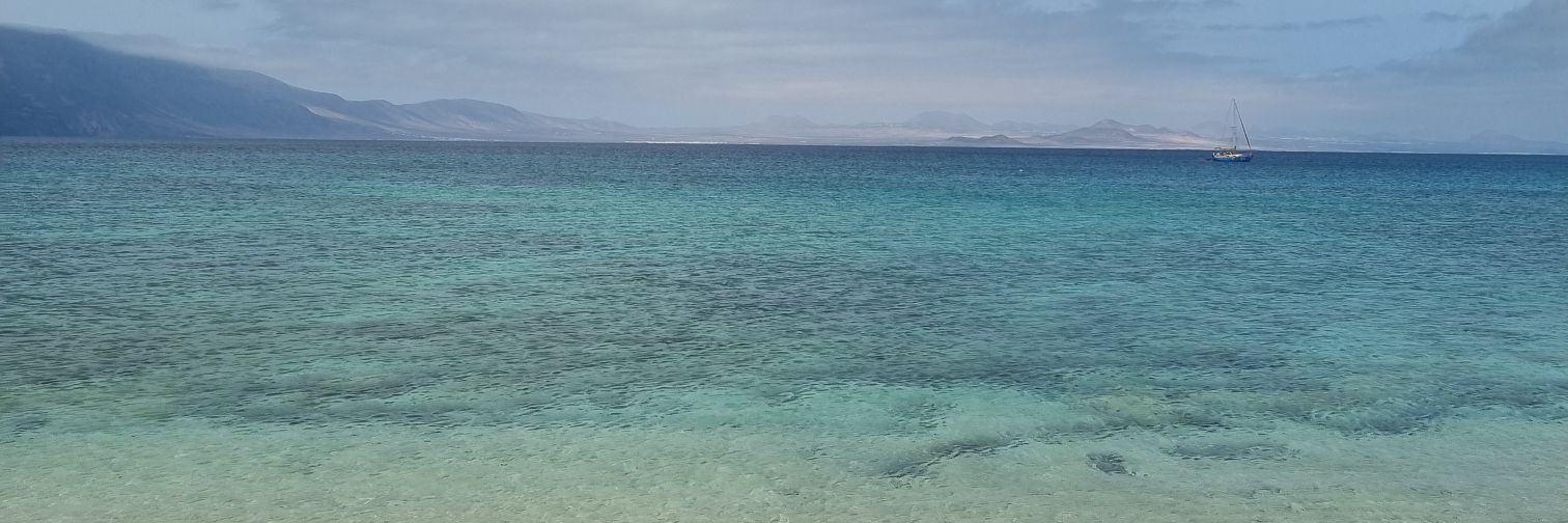 María Belén Belotto banner